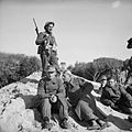 The British Army in Italy 1944 NA11058.jpg