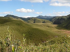 Valle di Dzukou vicino al confine con il Nagaland