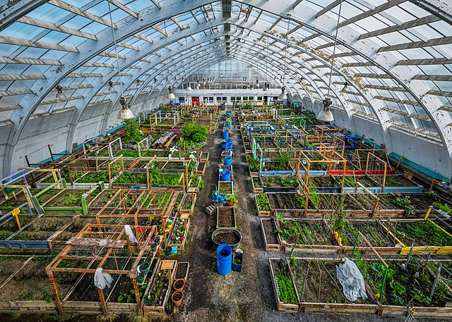 The Inuvik community greenhouse, converted from an old hockey rink