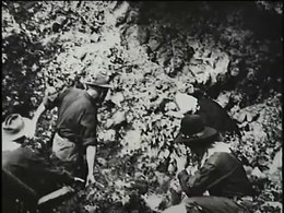 File:Sersan (1910) yang diawetkan.webm