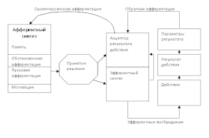 Theory of functional systems.gif