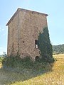 La Torre del Xut (Salàs de Pallars)