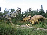 דגם של טריצרטופס וטירנוזאורוס - שני דינוזאורים מפורסמים משלהי הקרטיקון (מאסטריכט)