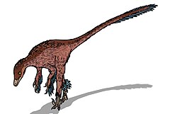 Troodon