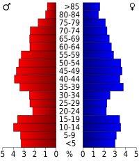 Struttura dell'età.