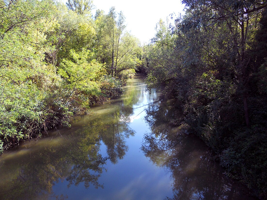 File:Vista fiume Idice.jpg