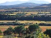 Vue vers le Sud de la campagne de Montauriol, à l'Est de la commune, depuis l'Olivette du Puig Rabiol, un après-midi d'automne..jpg