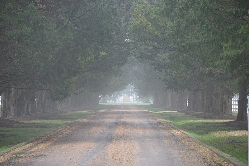 File:White Hall avenue.jpg