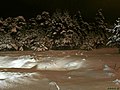 Winter Forest At Night - panoramio.jpg