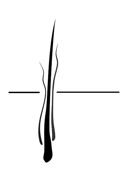 File:Wire Hair.svg