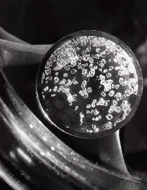 Many cubic transparent crystals in a petri dish.