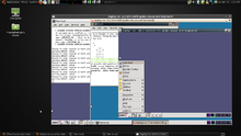 Xephyr-IceWM-Fluxbox-LinuxMint.png