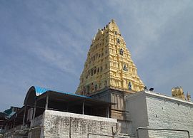 Lakshminarasimha Swamy Temple Gopuram