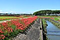 2020年9月30日 (水) 13:31時点における版のサムネイル