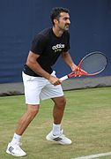 Zimonjic QC13-006 (9437632442).jpg