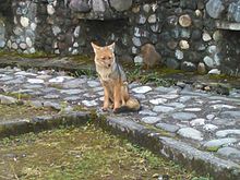 Info El Ángel ｜Espejo - Carchi, Ecuador