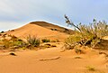 * Nomination Singing sand dune in Altyn Emel national park. Kerbulak District, Zhetysu Region, Kazakhstan. By User:RS128 --Красный 08:57, 27 June 2024 (UTC) * Promotion  Support Good quality. --Poco a poco 15:31, 27 June 2024 (UTC)