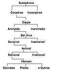 Vignette pour Classification