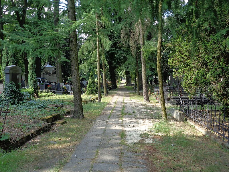 File:Łódź-path at Old Cemetery.jpg