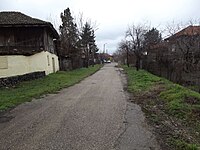 Улица Хаджи Димитър в с. Ново село, Видинско.jpg