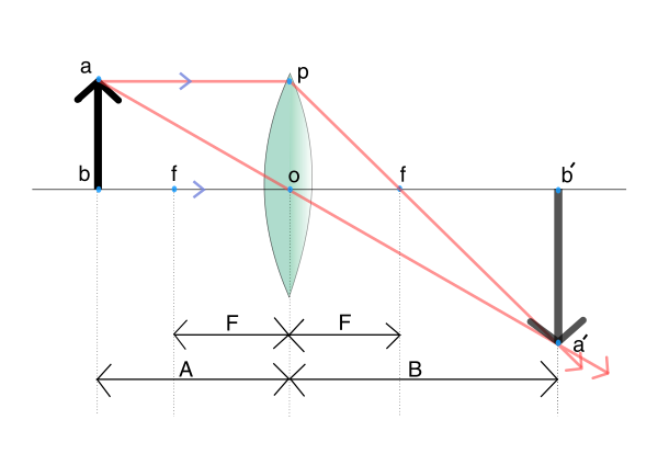 凸レンズの焦点より外側に物体を置くと、物体に対して反対側に倒立の実像ができる。