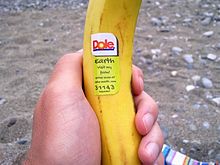 Dole banana fruit label 004 Dole company, banana fruit sticker.jpg