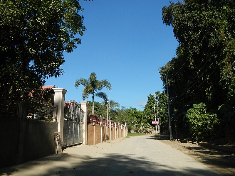 File:04664jfFarm Roads Trees Paddy Fields Gulap Candaba Pampangafvf 18.JPG