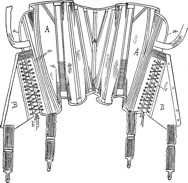 File:124Vue interieure developpee dun corset Sanakor.gif