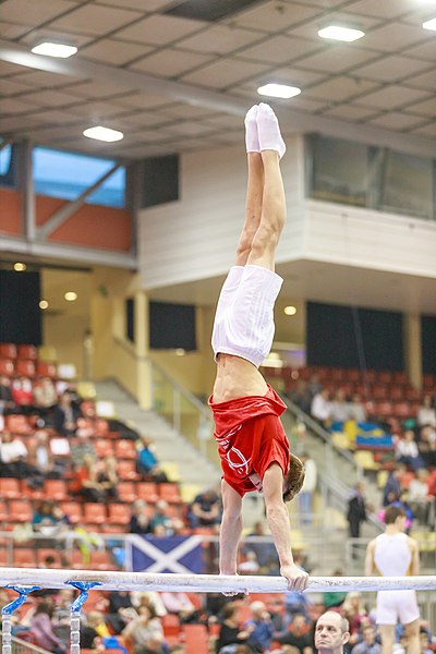 File:15th Austrian Future Cup 2018-11-24 Igor Velicico (Norman Seibert) - 10801.jpg