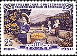 Почтовая марка СССР, 1951 год. 30 лет Грузинской ССР. Сбор цитрусовых