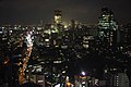 20100730 View from Tokyo Tower 7198.jpg