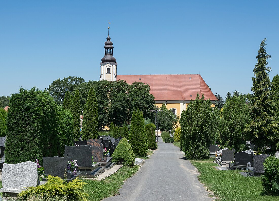 Braszowice