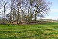 Esterno shaft slag heap.