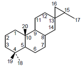 3,16-Cicloabietano - Numeración.png