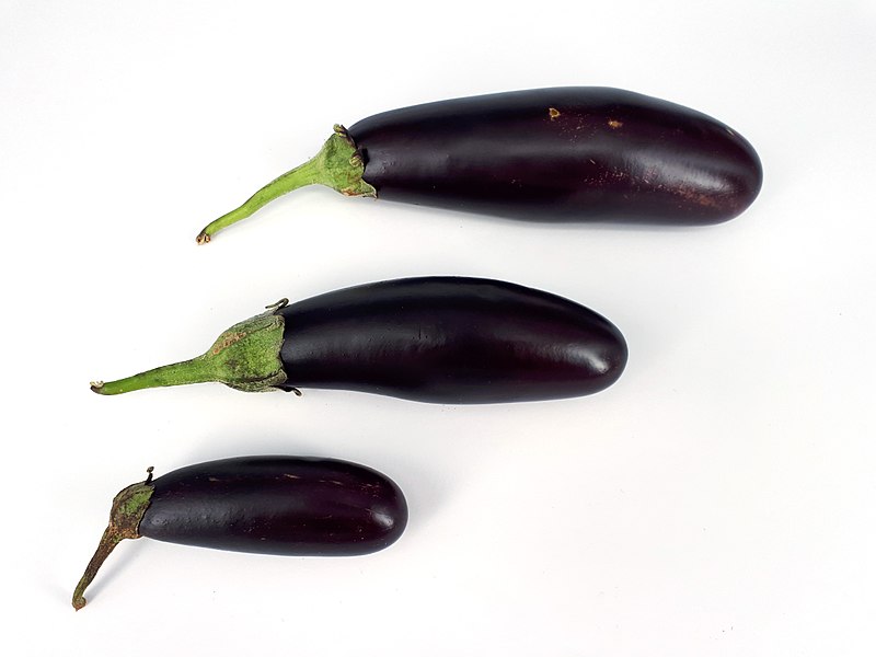 File:3 x Small eggplant 2017 B.jpg