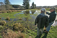 Wetland area restoration 439362435 Jb6zZ-O.jpg