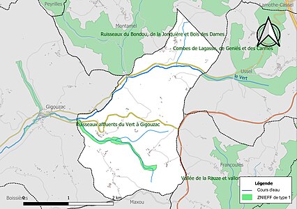 Carte de la ZNIEFF de type 1 sur la commune.