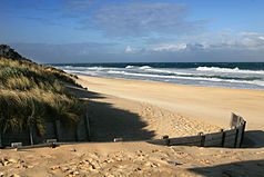 Dune and beach at Ninety Mile Beach