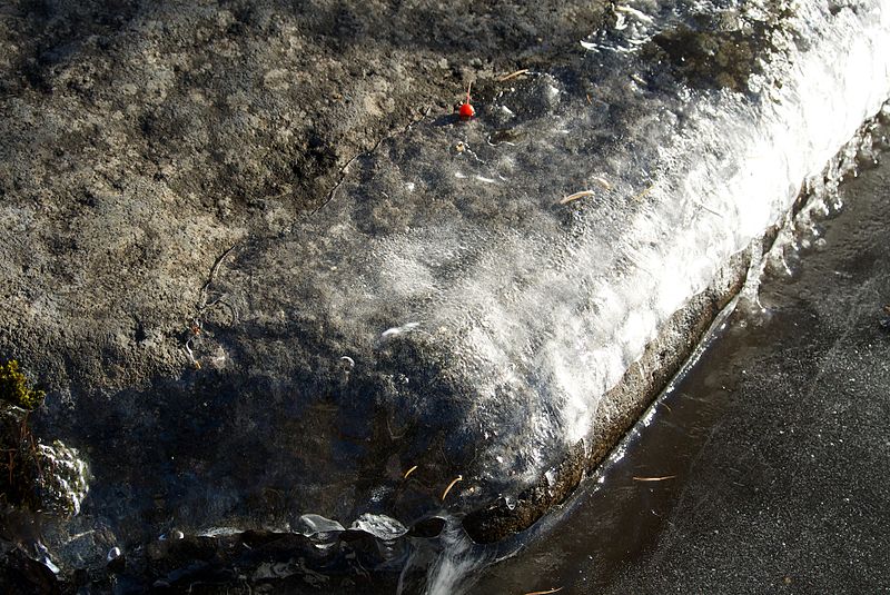 File:A red seed on top of the rock and ice - Flickr - odako1.jpg