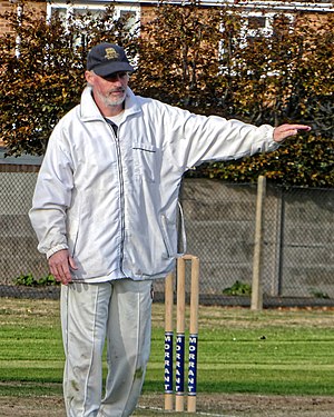 An umpire signalling a Four