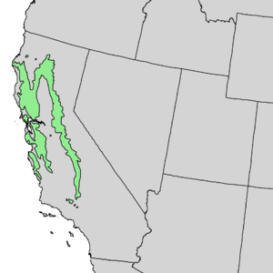 Aesculus californica range map 1.png