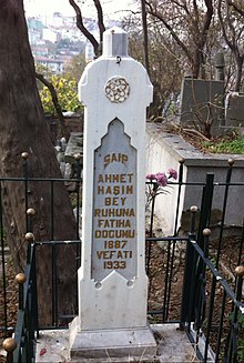 Ahmet Haşim's grave in Eyüp Cemetery.