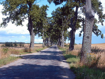 Road in Masuria