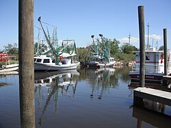 Boats in Alluvial City, September 2011