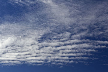 Altocumulus stratiformis undulatus