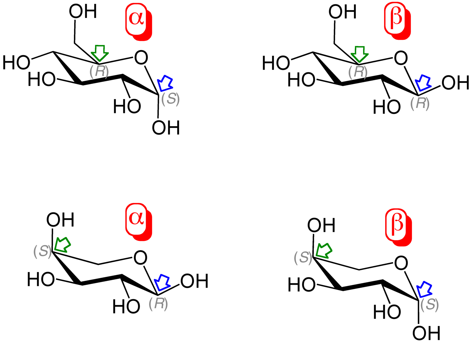 Дифференс. Monosaccharides. D-Аллоза. D-альтроза формула. Октозы примеры.