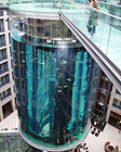 AquaDom in der Lobby des Radisson Blu