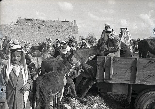 פינוי הכפר בעת מלחמת העצמאות. פברואר 1949, בנו רותנברג, אוסף מיתר, הספרייה הלאומית