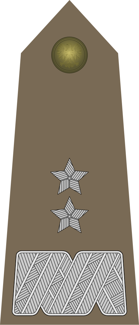 ไฟล์:Army-POL-OF-07.svg