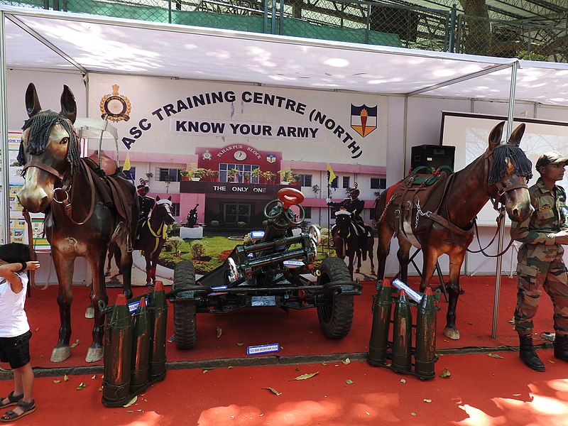 File:Army expo-12-cubbon park-bangalore-India.jpg